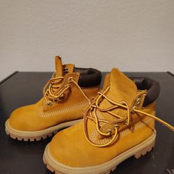 Timberland Toddler Shoes 