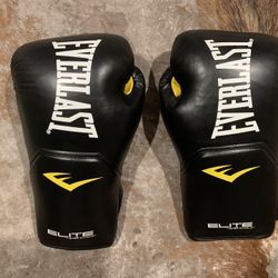Everlast boxing gloves 10oz