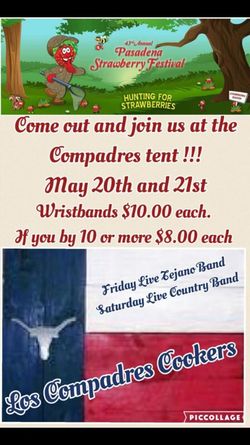 Strawberry festival wristbands