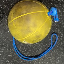 Workout Gym Exercise Slam Ball