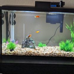 Fish/Reptile Tank Stand