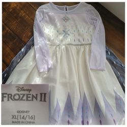Disney Frozen 2 Exclusive Elsa Epilogue Cosplay Tutu Dress