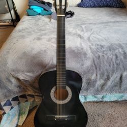 Acoustic Guitar 