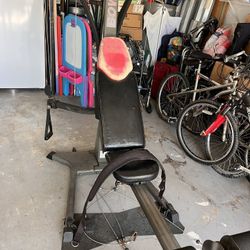 Bowflex elite power band technology exercise gym