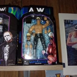 Wrestling Figure