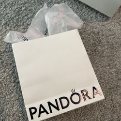 Pandora Charm Bracelet 