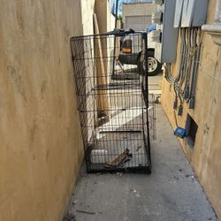 Pet Cage 