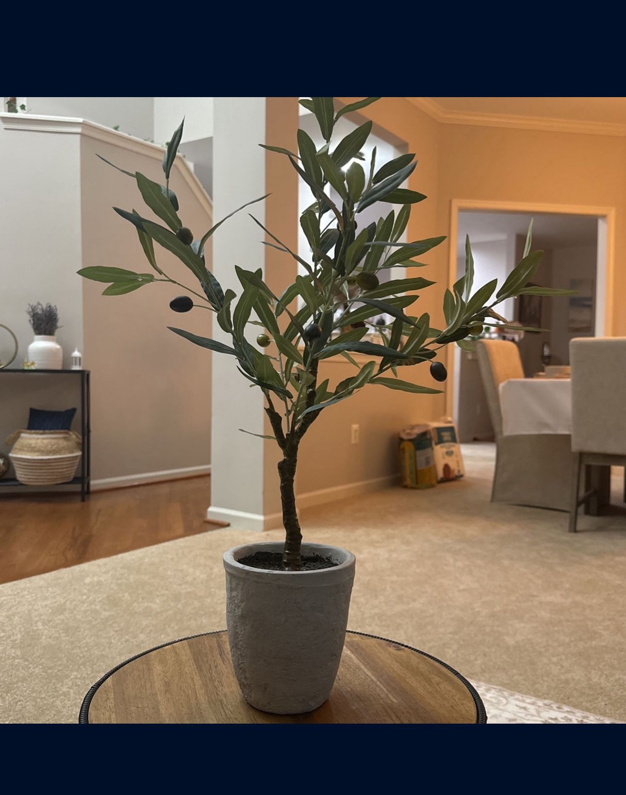 Olive Tree fake Decor