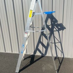 Werner 6’ Aluminum Ladder 