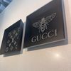 Designer Trays 