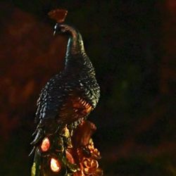  Beautiful Peacock Sculpture Garden Decoration