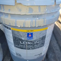 Exterior Loxon Masonary Acrylic Paint