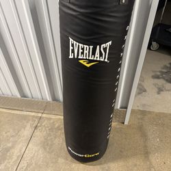 Everlast Punching Bag 80 LBS  With Century  Punching Bag Stand