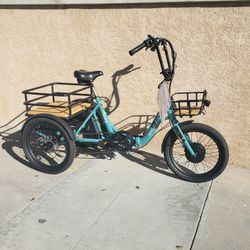 "BISON PRO" TRI ELECTRIC BICYCLE 