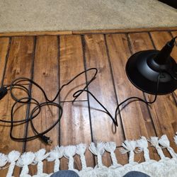 industrial  hanging light