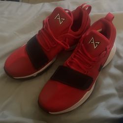 Nike PGs Shoes