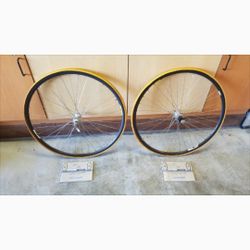 Campagnolo Omega Strada Hardox Wheel Set