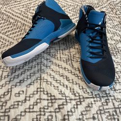 Air Jordan Flight Speed Size 12