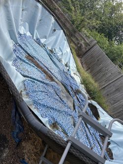 Everything Pool And Accessories 