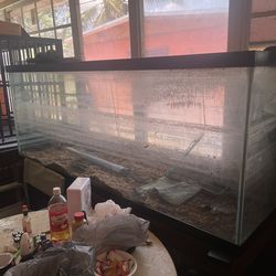 6 Foot Fish Tank 220 Gallon