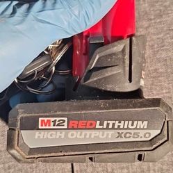 Milwaukee M12 BATTERIES 