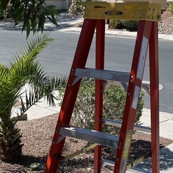 6’ Werner Ladder