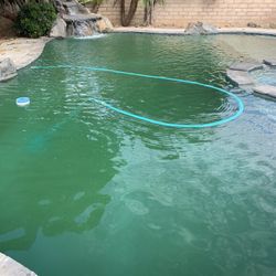 Pool Tablets, Algaecide, From Green To Clear Weekly Service Or One Time