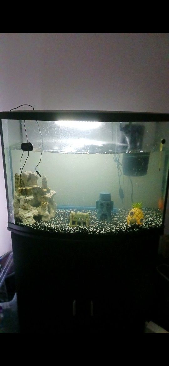36 Gallon Fish Tank With Stand