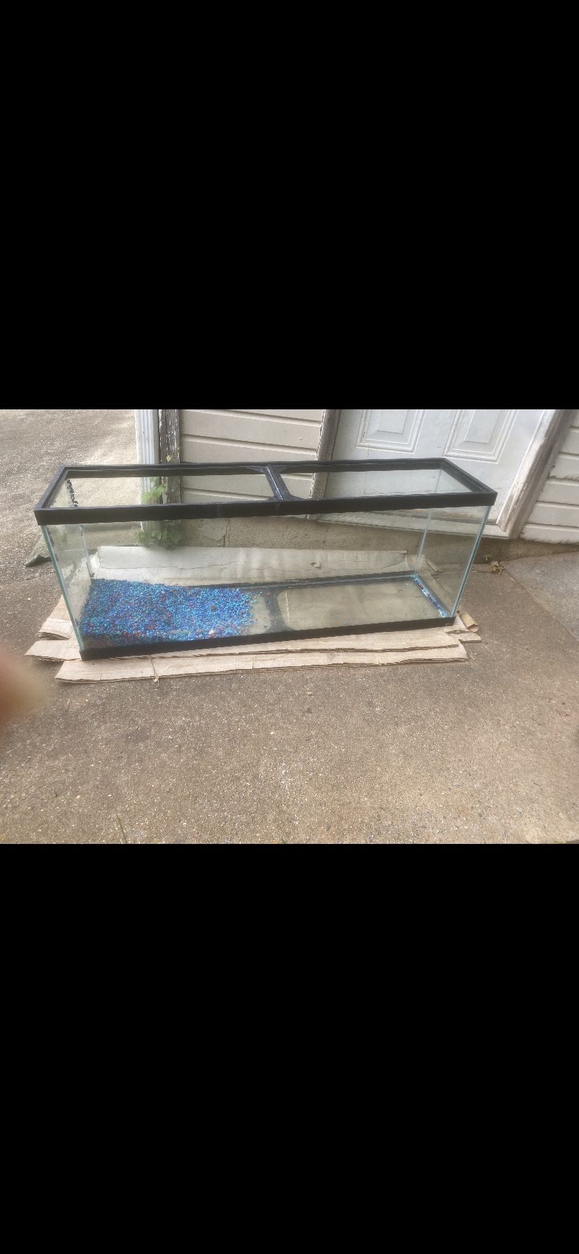 55 Gallon Fish Tank