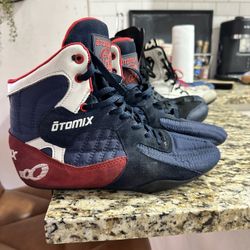 Boxing Shoes 