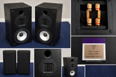 BG Z1 Speakers