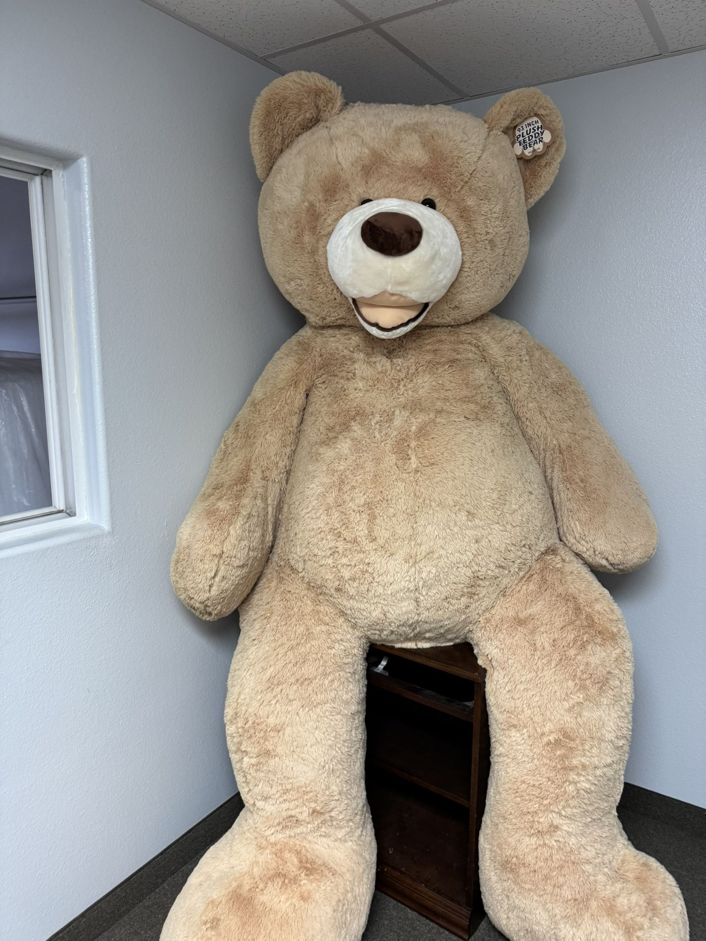 Giant Life Size Teddy Bear - 93” Tall - Brand New