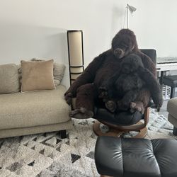 Giant Gorilla And Baby: Sentimental And Ready For A New Home 