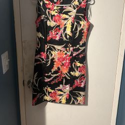 dress barn size 8