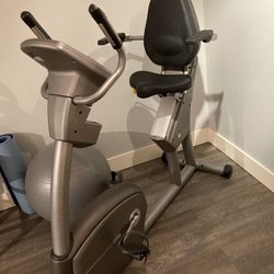 Exercise Bike (AFG 4.0 AH hybrid)