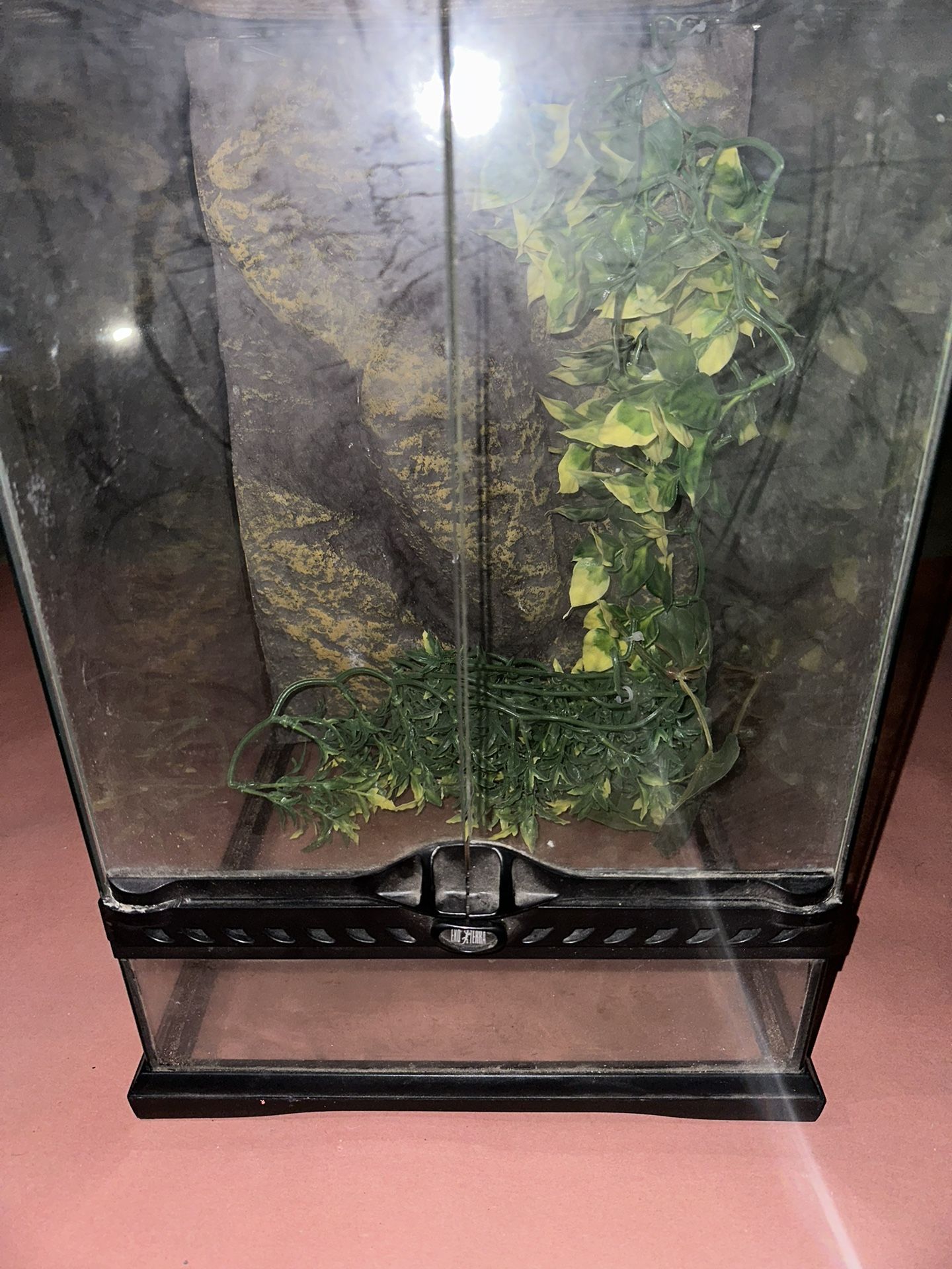 Frog Cage