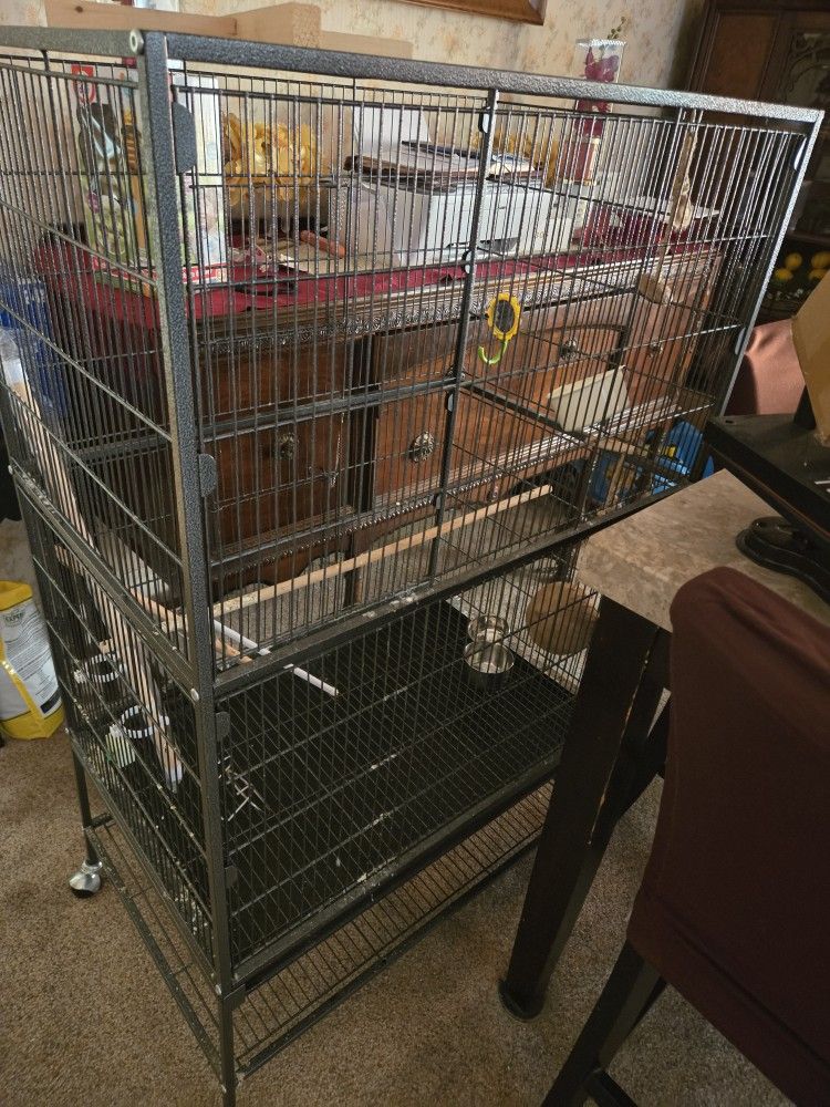 Bird Cage