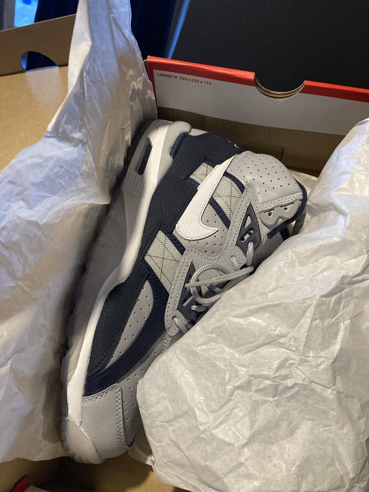 Air Trainer Nike “Georgetown”