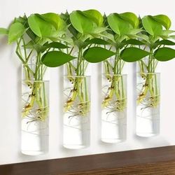 6 pcs Wall Hanging Glass Plant Terrarium Containers – Cylinder Shape, Art Deco Style