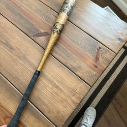 Selling Baseball Bats