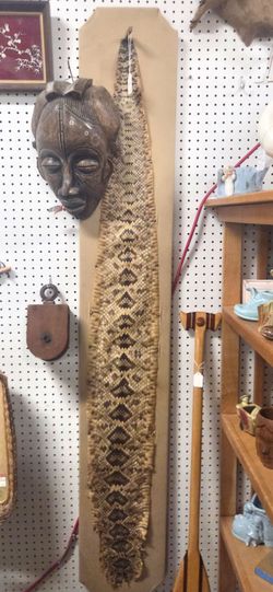 Taxidermy ratle snake skin