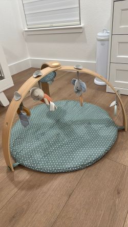 Ingenious baby activity gym