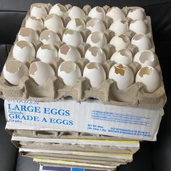 Just In Time  For Easter 🐣 Egg Shells . I will have eggshells every year And throughout the year