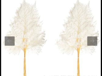 Uniquewise - 17" Real Alpine Fern Leaves With Stems For Dried Flower Arrangements, Wedding Bouquets, Garland Walls & Home Decor, Party Centerpieces Va