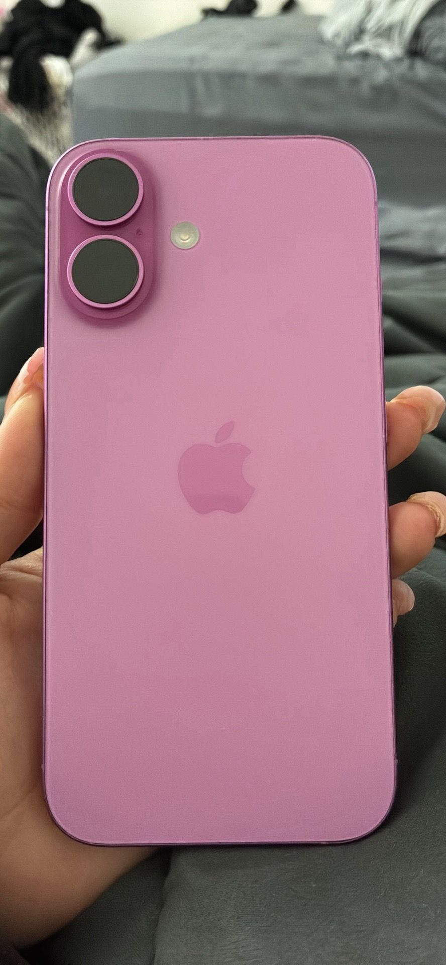 Pink IPhone 16