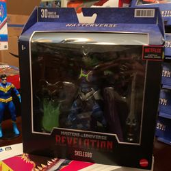 $20 Masters Of The Universe Skelegod 