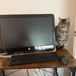 HP Pavilion 23-g010 All-in-One Desktop PC