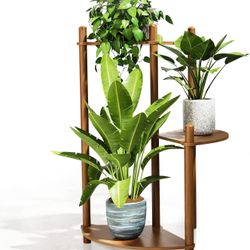3 Tiers Plant Stands