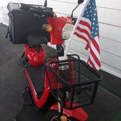 Electric Scooter 