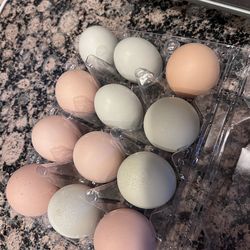 Dozen Unwashed Organic Chicken Eggs $5